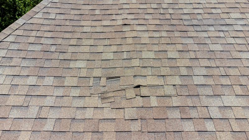 Asphalt Roof Inspection in Cheltenham, MD