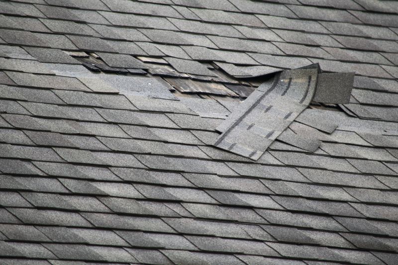 Asphalt Roof Leak Repair in Waldorf, MD