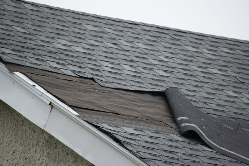 Asphalt Shingles Repair in Dunkirk, MD
