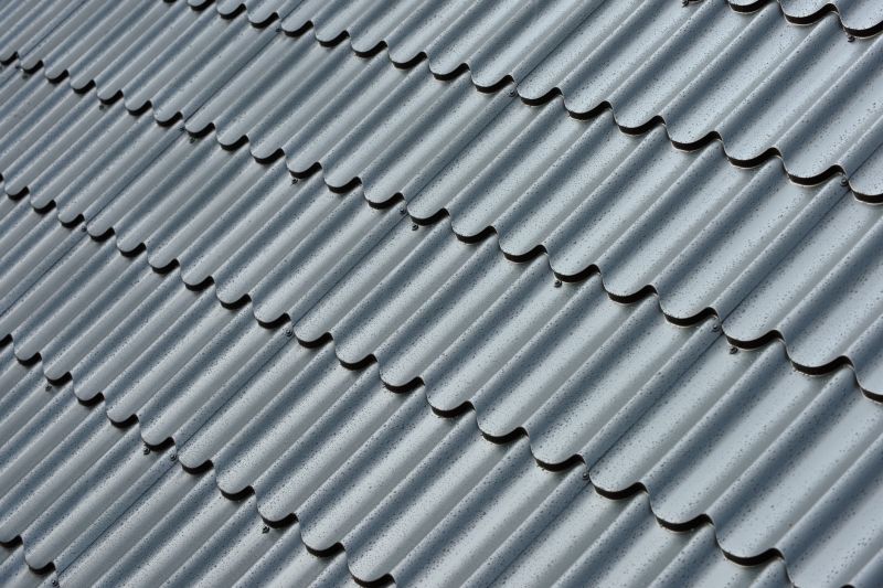 Corrugated Roof Repair in Saint Leonard, MD