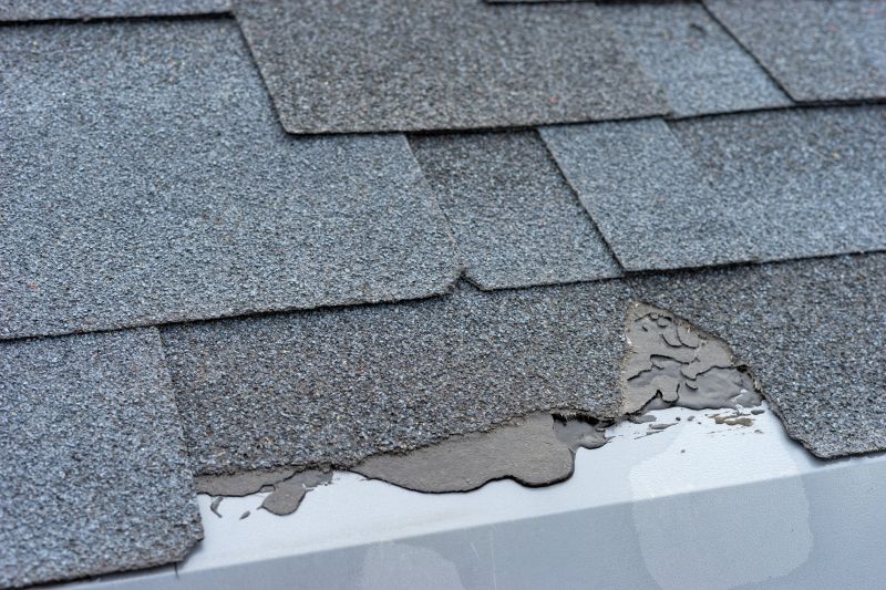Damaged Roof Repair in La Plata, MD