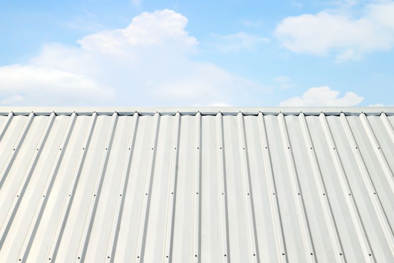 Metal Roof Coating Service in Prince Frederick, MD