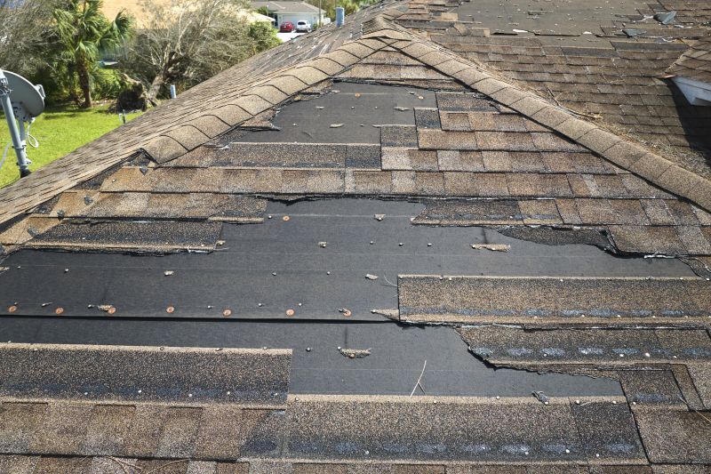 Roof Hail Damage Repair in Prince Frederick, MD