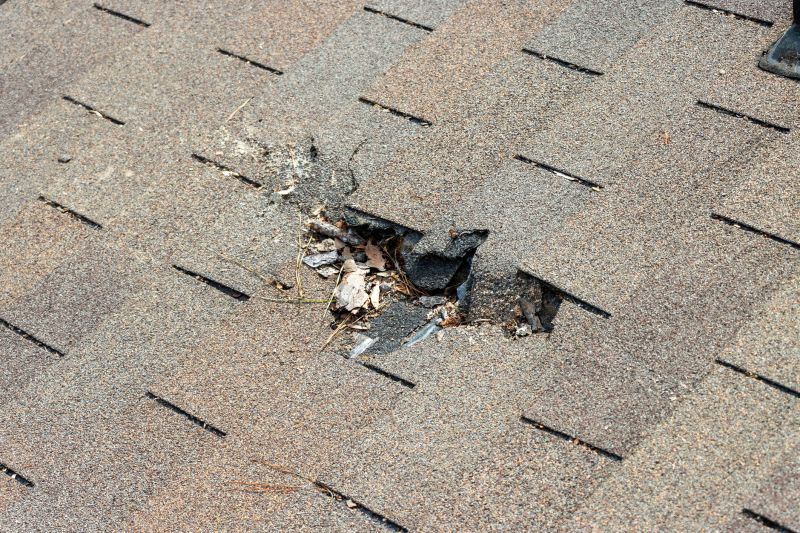 Shingle Roof Replacement in Upper Marlboro, MD