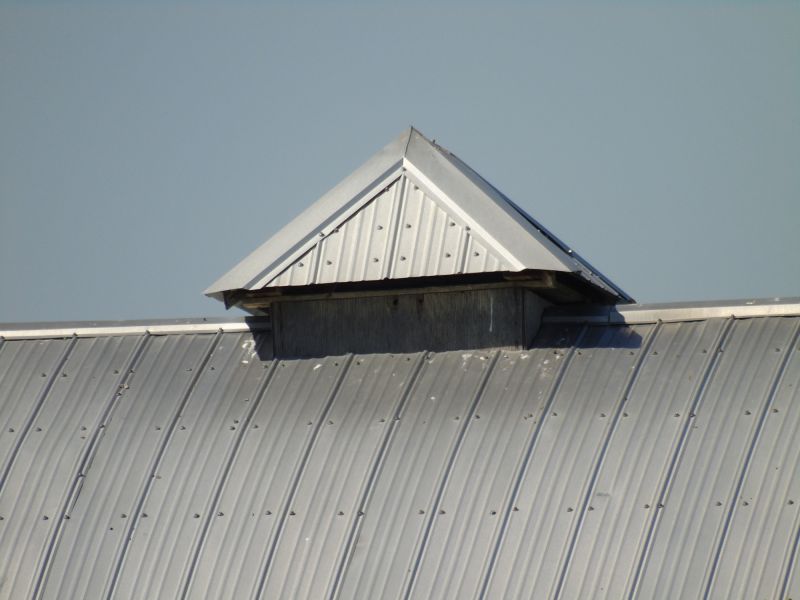 Tin Roof Installation in Dunkirk, MD